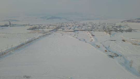 冬天雪地里的玉米