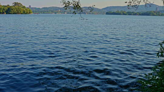 晴朗天气下的西湖湖面与湖心岛视频素材模板下载