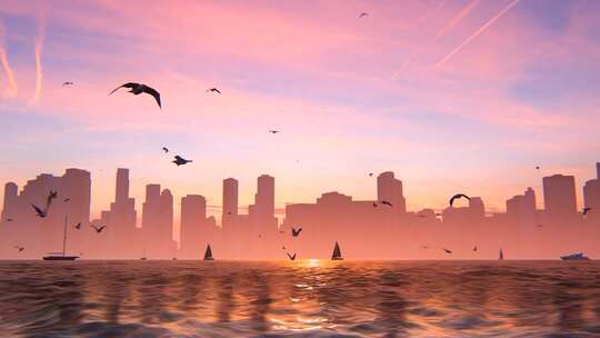 城市海滩上飞行的海鸥