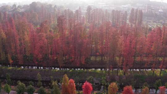 衡阳风景合集