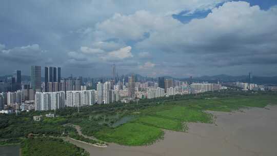 深圳红树林湿地公园