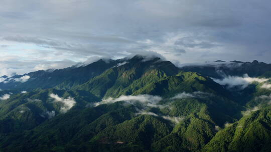 雨雾缭绕、光影斑驳的绿色高山