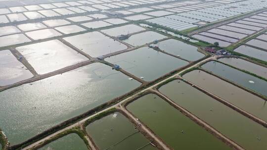 中国大型专业人工养鱼池工业农业自然风光