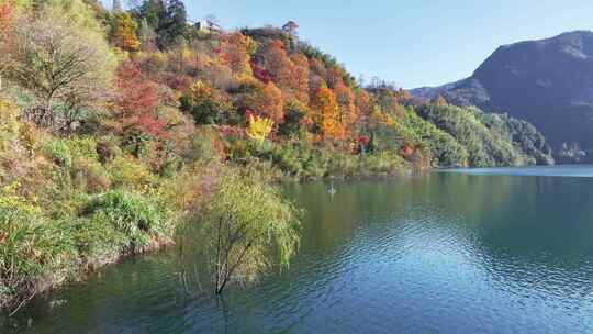 四明山秋天秋景秋色 茅镬公园