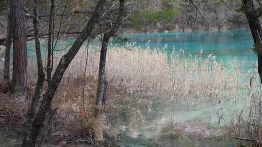 四川阿坝州九寨沟冬日山水