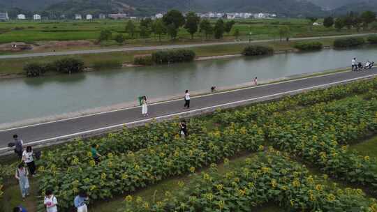 浙江瑞安曹村镇风光