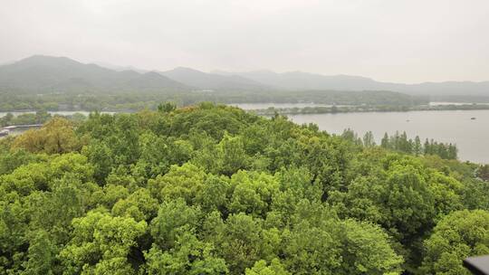 航拍浙江杭州雷峰塔，城隍阁