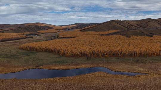 航拍/自热风光/秋景/大兴安岭的秋天高清在线视频素材下载