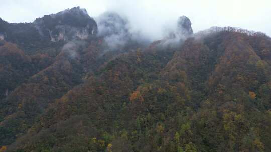 漫山红叶巴中光雾山附近