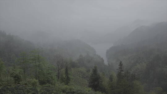 旅游景区 安徽黄山雨景  山顶