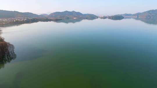 浙江省余姚市四明湖边的池杉风光视频素材模板下载