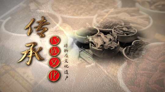  水墨中国风中医文化传承视频AE模板