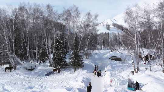 航拍新疆禾木雪景森林雪地小木屋禾木桥雪山