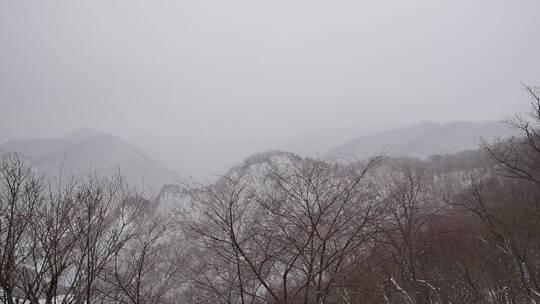 漫天飞雪大雪封山