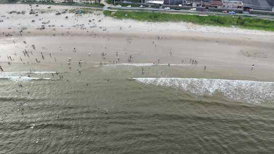 海浪拍打沙滩沙滩游泳游客航拍