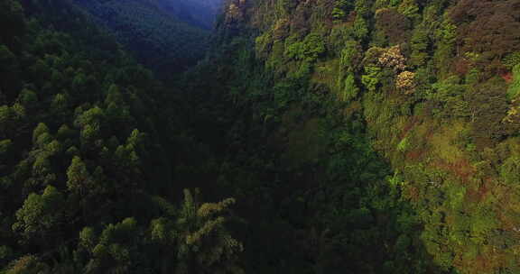 航拍大山风景森林林场早晨阳光美丽自然素材