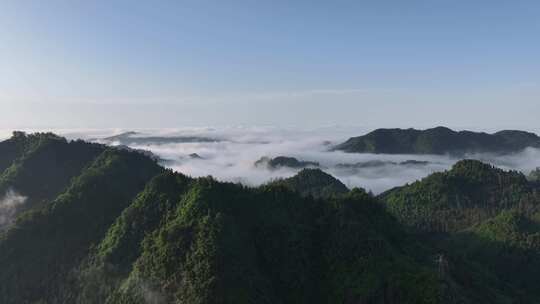 湘西吉首市青山平流雾清晨