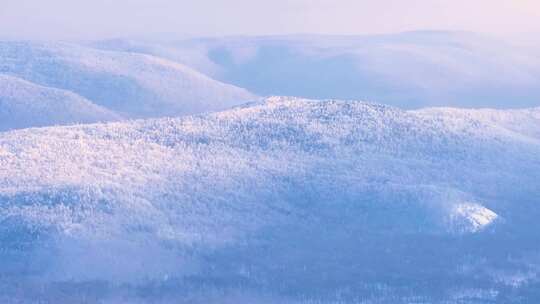 航拍林海雪原雾凇美景241231-3