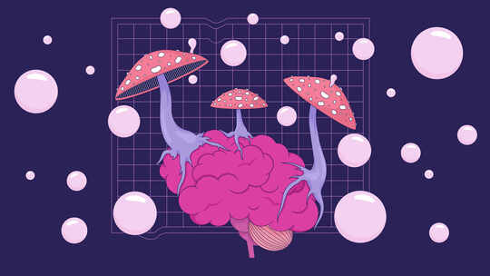 吹泡泡迷幻蘑菇在大脑Lo Fi动画卡通背