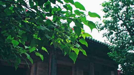 平遥双林寺古建大院飞檐意境