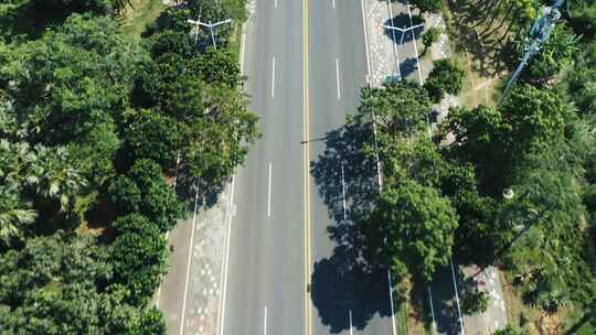 航拍海南博鳌的椰林城市道路