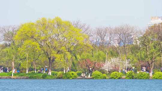 杭州西湖春天风景