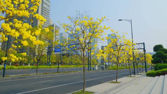 南宁五象新区总部基地高楼林立城市穿梭