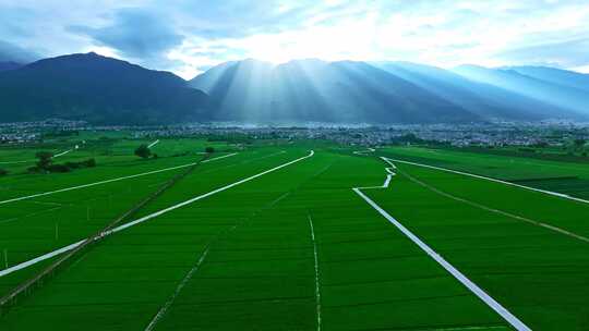 大理苍山耶稣光稻田景观