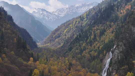 青海互助北山秋林云雾航拍视频