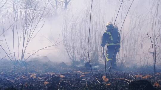消防员扑灭树林中的一场大火视频素材模板下载