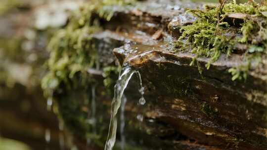 溪流岩石青苔清新自然特写视频