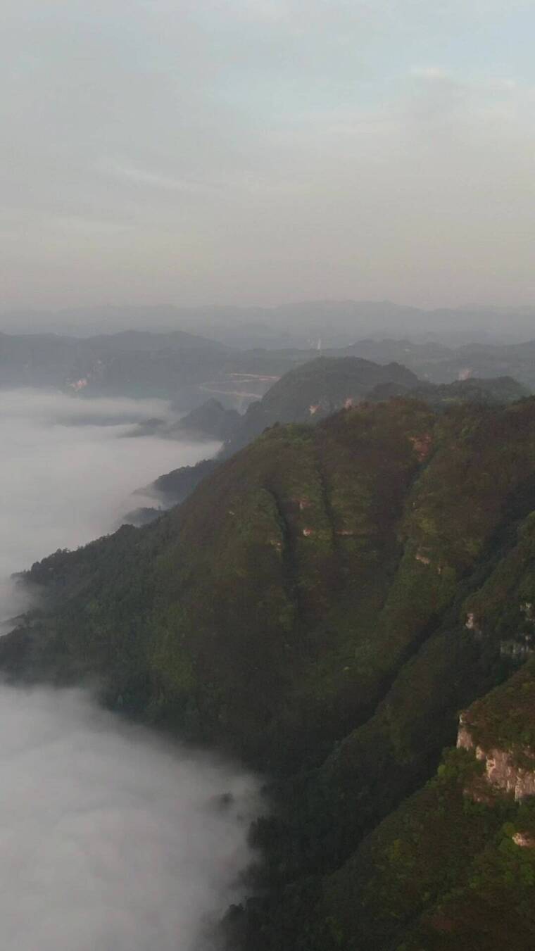 航拍清晨山谷云海云雾竖屏