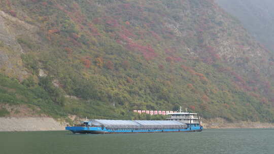 长江三峡巫峡红叶