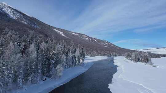 新疆喀纳斯雪景-雾河雪松林