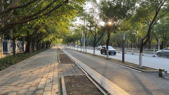 夕阳照射下的道路 人行道 机动车车流