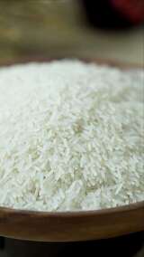 大米 水稻 粮食农作物高清在线视频素材下载
