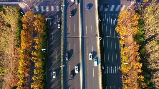 航拍合肥市区道路交通