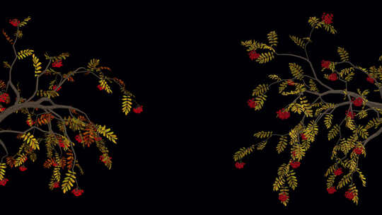 树枝花朵带通道无限循环动画，屏风设计