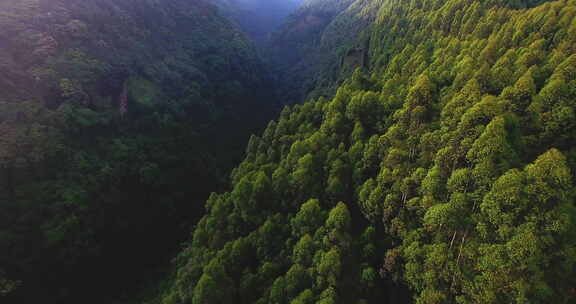 航拍大山风景森林峡谷早晨阳光美丽自然素材