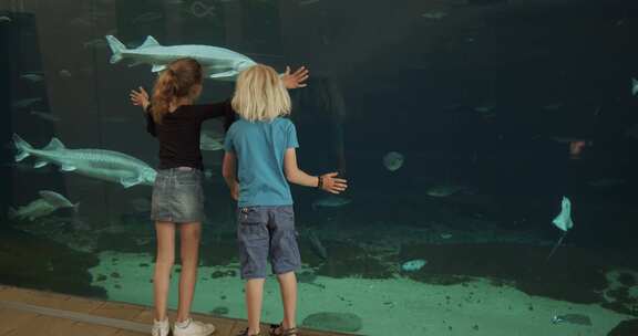 孩子们在水族馆看鱼缸