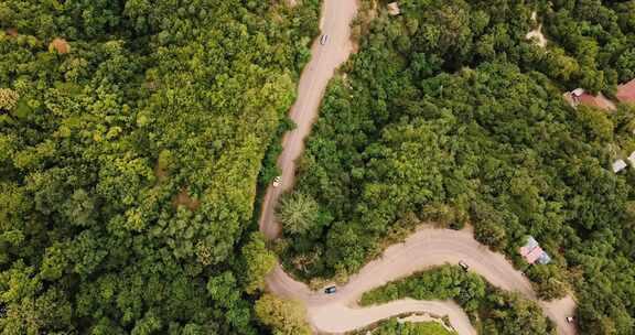 密集森林中道路的航拍镜头