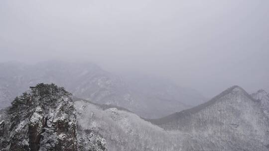 漫天飞雪大雪封山