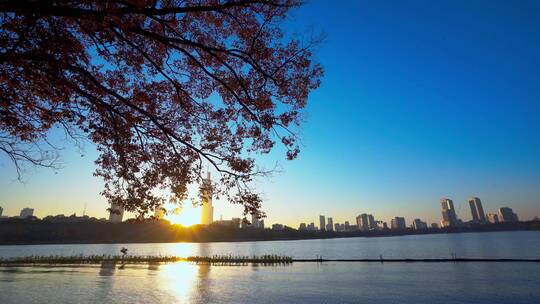 夕阳照耀下的高楼大厦