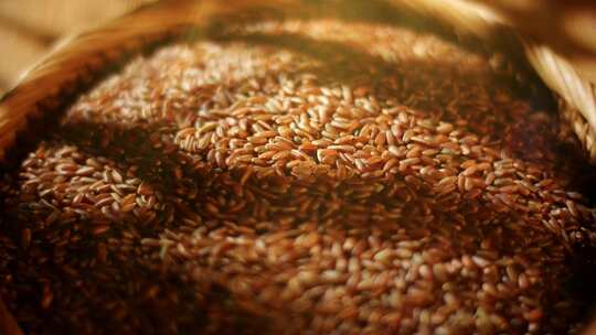 红米糙米粗粮五谷杂粮