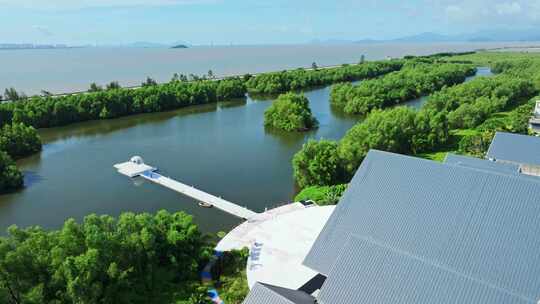 4k江门滨海新区世贸碧海银湖湾湿地红树林