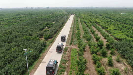 河北深州大桃航拍种植园顺丰车队