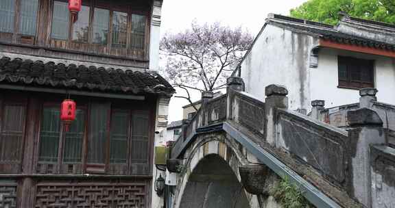 清晨春雨谷雨江南水乡古街 苏州平江路