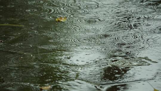 下雨路面雨滴波纹