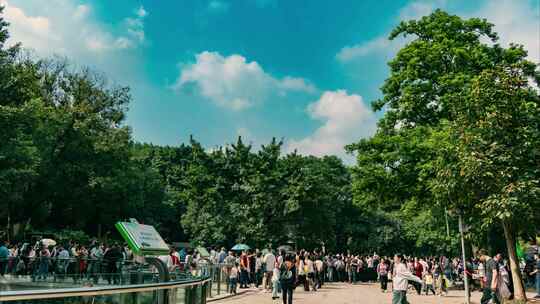 重庆动物园游客人流