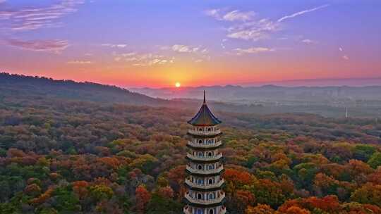 南京中山陵风景区灵谷寺秋天朝霞